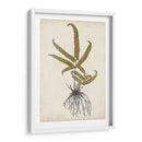 Fern Botanical Vi - Vision Studio | Cuadro decorativo de Canvas Lab