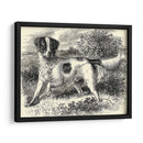 Setter De Inglés | Cuadro decorativo de Canvas Lab