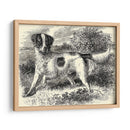 Setter De Inglés | Cuadro decorativo de Canvas Lab