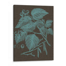 Hojas Brillantes I - Vision Studio | Cuadro decorativo de Canvas Lab