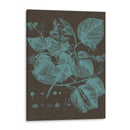 Hojas Brillantes Ii - Vision Studio | Cuadro decorativo de Canvas Lab