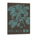 Hojas Brillantes Iii - Vision Studio | Cuadro decorativo de Canvas Lab