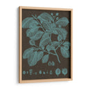 Hojas Brillantes Iii - Vision Studio | Cuadro decorativo de Canvas Lab