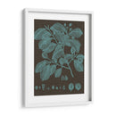 Hojas Brillantes Iii - Vision Studio | Cuadro decorativo de Canvas Lab
