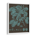 Hojas Brillantes Iii - Vision Studio | Cuadro decorativo de Canvas Lab