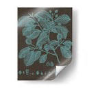 Hojas Brillantes Iii - Vision Studio | Cuadro decorativo de Canvas Lab
