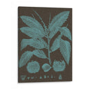 Hojas Brillantes V - Vision Studio | Cuadro decorativo de Canvas Lab