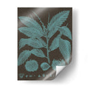 Hojas Brillantes V - Vision Studio | Cuadro decorativo de Canvas Lab