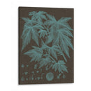 Hojas Brillantes Vii - Vision Studio | Cuadro decorativo de Canvas Lab
