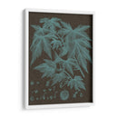 Hojas Brillantes Vii - Vision Studio | Cuadro decorativo de Canvas Lab