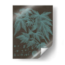 Hojas Brillantes Vii - Vision Studio | Cuadro decorativo de Canvas Lab