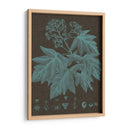 Hojas Brillantes Viii - Vision Studio | Cuadro decorativo de Canvas Lab