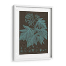 Hojas Brillantes Viii - Vision Studio | Cuadro decorativo de Canvas Lab