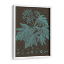 Hojas Brillantes Viii - Vision Studio | Cuadro decorativo de Canvas Lab