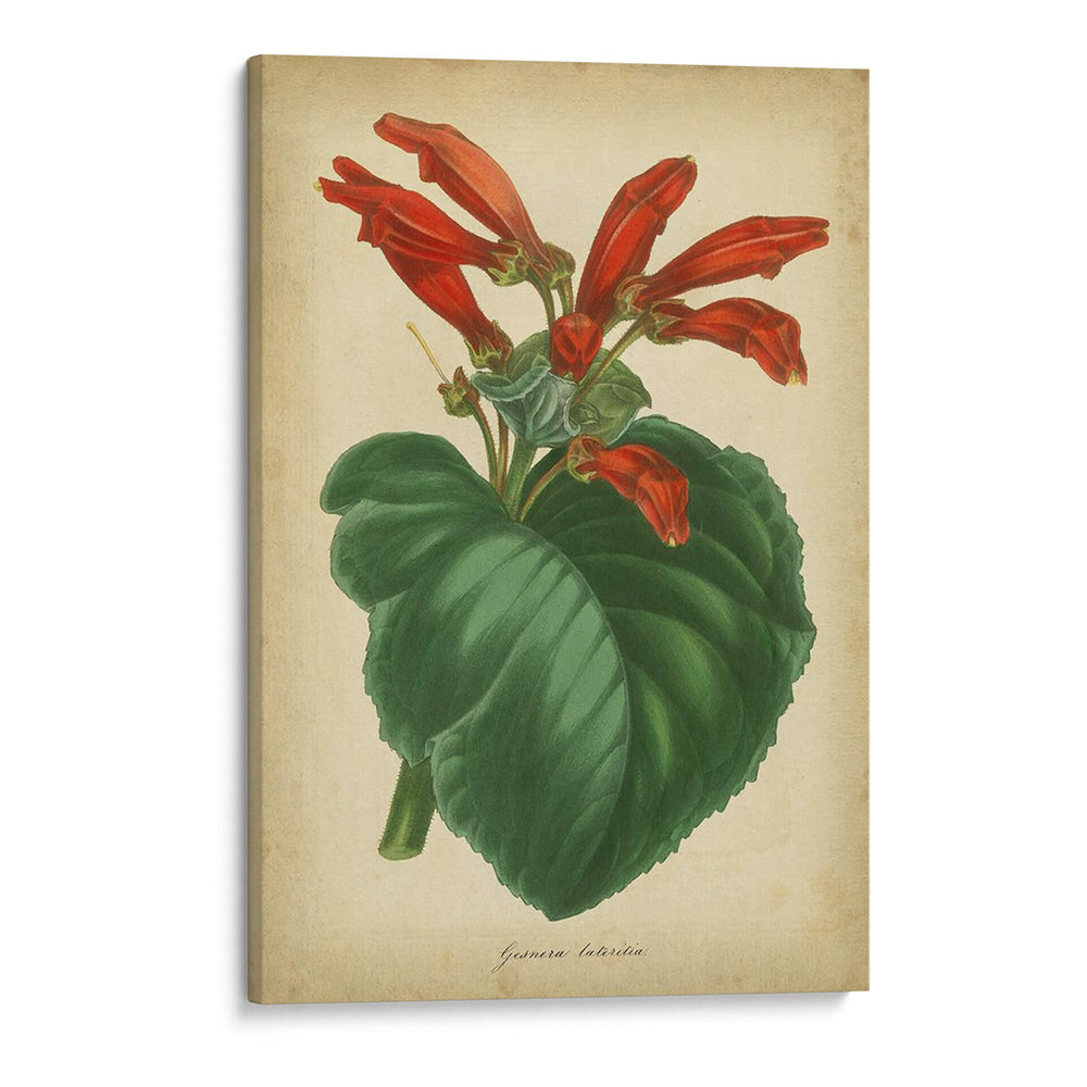 Vermillion Blooms I - Paxton | Cuadro decorativo de Canvas Lab