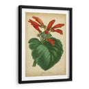 Vermillion Blooms I - Paxton | Cuadro decorativo de Canvas Lab