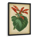 Vermillion Blooms I - Paxton | Cuadro decorativo de Canvas Lab