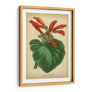 Vermillion Blooms I - Paxton | Cuadro decorativo de Canvas Lab