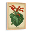 Vermillion Blooms I - Paxton | Cuadro decorativo de Canvas Lab