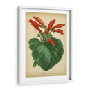 Vermillion Blooms I - Paxton | Cuadro decorativo de Canvas Lab