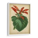 Vermillion Blooms I - Paxton | Cuadro decorativo de Canvas Lab