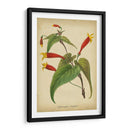 Vermillion Blooms Iv - Paxton | Cuadro decorativo de Canvas Lab