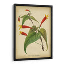 Vermillion Blooms Iv - Paxton | Cuadro decorativo de Canvas Lab