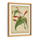 Vermillion Blooms Iv - Paxton | Cuadro decorativo de Canvas Lab