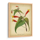 Vermillion Blooms Iv - Paxton | Cuadro decorativo de Canvas Lab