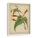 Vermillion Blooms Iv - Paxton | Cuadro decorativo de Canvas Lab