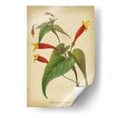 Vermillion Blooms Iv - Paxton | Cuadro decorativo de Canvas Lab