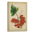 Vermillion Blooms Ii - Paxton | Cuadro decorativo de Canvas Lab