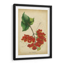 Vermillion Blooms Ii - Paxton | Cuadro decorativo de Canvas Lab