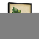 Vermillion Blooms Ii - Paxton | Cuadro decorativo de Canvas Lab