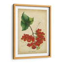 Vermillion Blooms Ii - Paxton | Cuadro decorativo de Canvas Lab