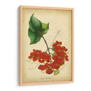 Vermillion Blooms Ii - Paxton | Cuadro decorativo de Canvas Lab