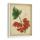Vermillion Blooms Ii - Paxton | Cuadro decorativo de Canvas Lab