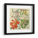 Catesby Botanical Quadrant Iii - Mark Catesby | Cuadro decorativo de Canvas Lab