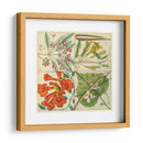 Catesby Botanical Quadrant Iii - Mark Catesby | Cuadro decorativo de Canvas Lab