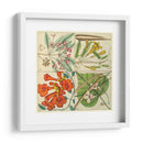 Catesby Botanical Quadrant Iii - Mark Catesby | Cuadro decorativo de Canvas Lab