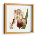 Viii Botánico Antiguo Recortado - Vision Studio | Cuadro decorativo de Canvas Lab