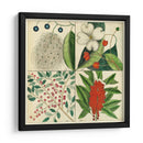 Catesby Botanical Quadrant Ii - Mark Catesby | Cuadro decorativo de Canvas Lab