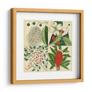 Catesby Botanical Quadrant Ii - Mark Catesby | Cuadro decorativo de Canvas Lab