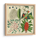 Catesby Botanical Quadrant Ii - Mark Catesby | Cuadro decorativo de Canvas Lab