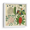 Catesby Botanical Quadrant Ii - Mark Catesby | Cuadro decorativo de Canvas Lab