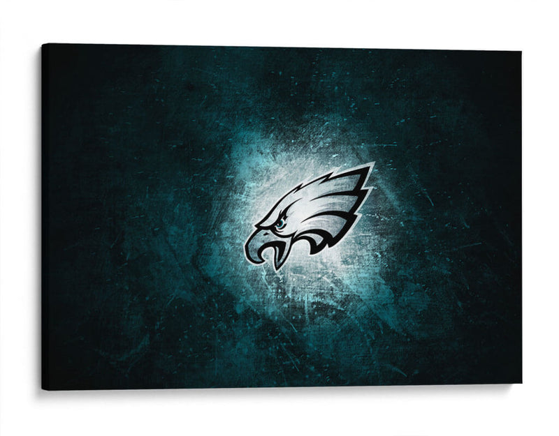 Logo Philadelphia Eagles en hielo | Cuadro decorativo de Canvas Lab