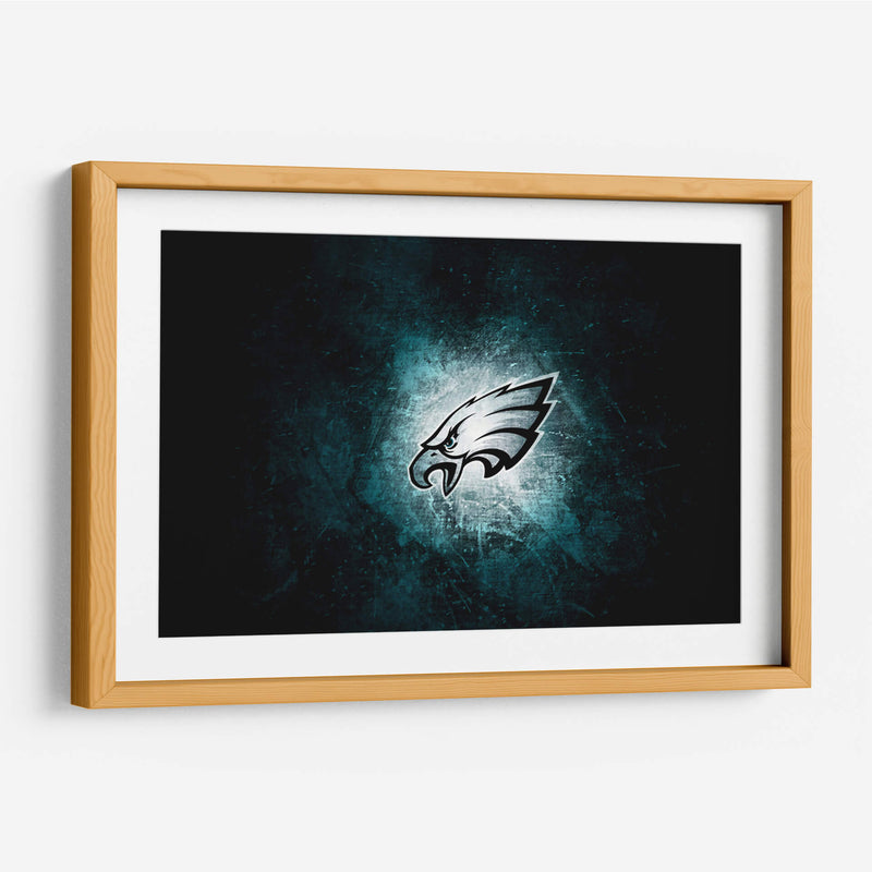 Logo Philadelphia Eagles en hielo | Cuadro decorativo de Canvas Lab
