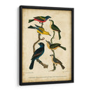 Wilsons Pintó Bunting - Alexander Wilson | Cuadro decorativo de Canvas Lab