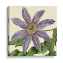 Visión Tropical Iii - Vision Studio | Cuadro decorativo de Canvas Lab