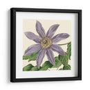 Visión Tropical Iii - Vision Studio | Cuadro decorativo de Canvas Lab